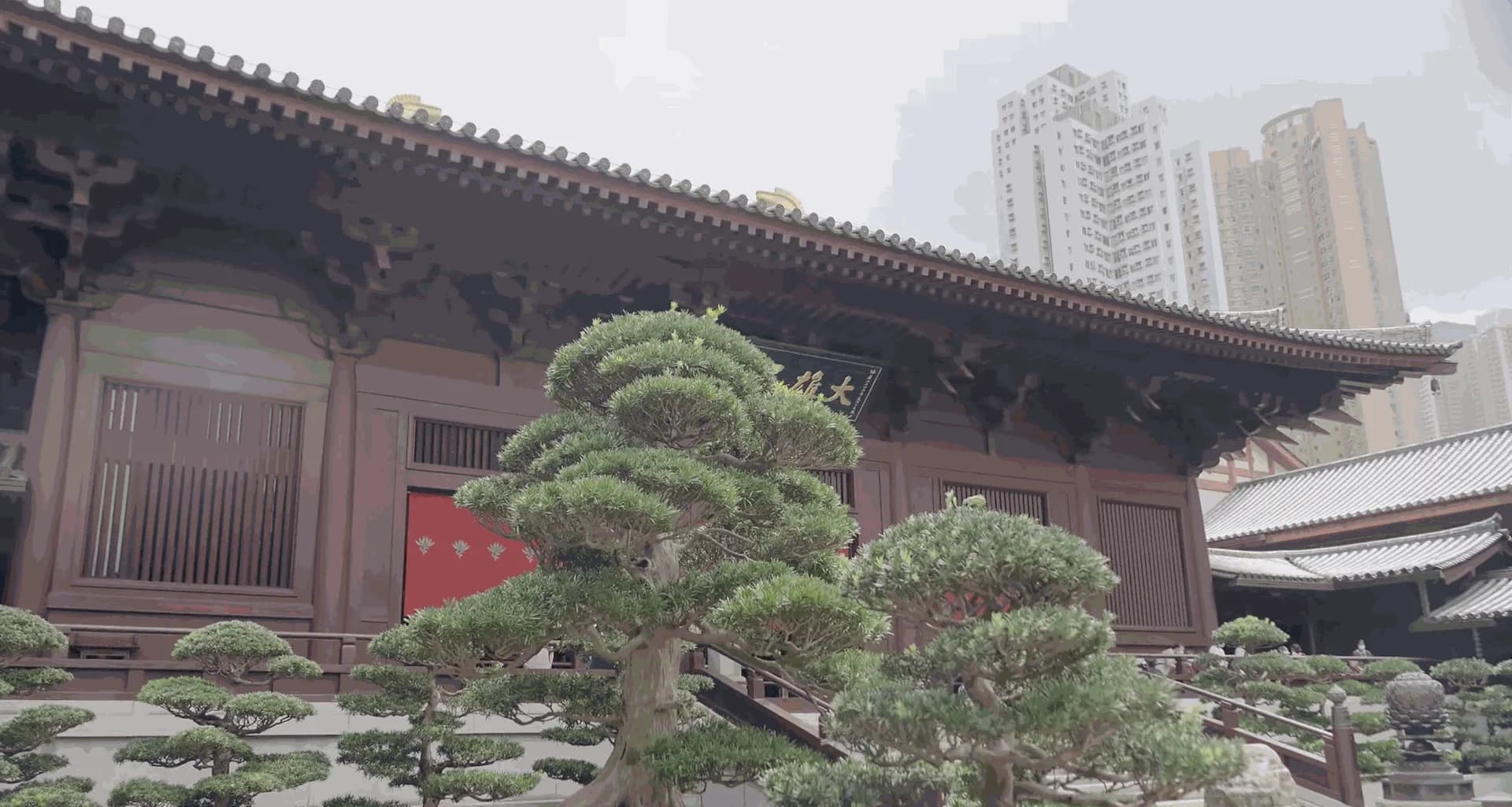 Stadsträd i Hongkong dokumenterade som 3D-modeller med FJD Trion LiDAR